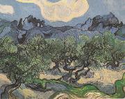 Vincent Van Gogh Olive Trees with the Alpilles in the Background (nn04) oil painting on canvas